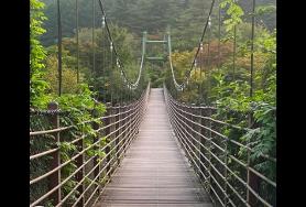  가평아침고요수목원 사진