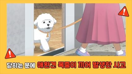  3. 닫히는 문에 반려견 목줄이 끼어 발생한 사고ㅣ🧓고령자 승강기안전교육