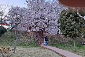  양산호수공원
