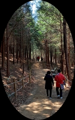  숲속