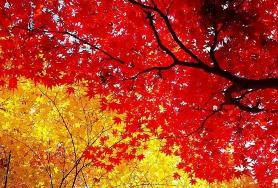  오늘은 서리가 내린다는 상강  입니다