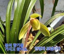  Spring has come
