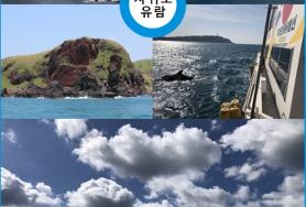  제주토  차귀도 사진