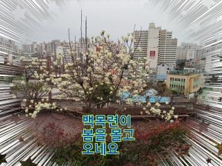  Spring has come
