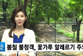  봄철 불청객 꽃가루 알레르기