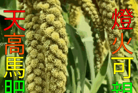  가을은 천고마비,등화가친 계절