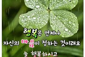  비내리는 금요일 네잎클로버
