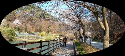  숲속