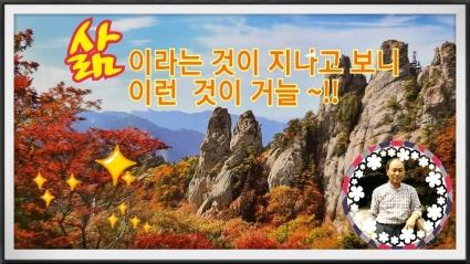  라인카메라 작업