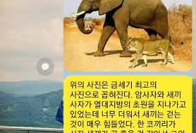  금세기 최고의 사진 장면