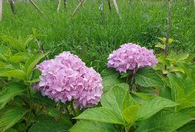  효령다운수업중입니다