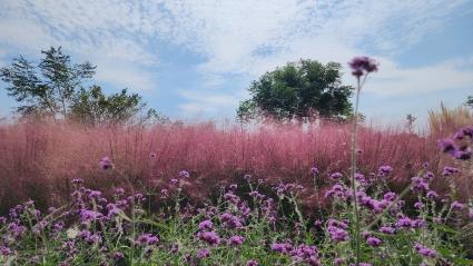  멋진 사진 감사합니다.