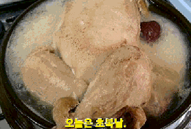 초복날 삼계탕 드세요