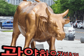  광양 한우 갈비촌