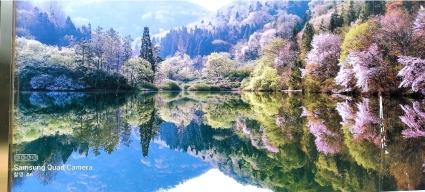  화순세령지