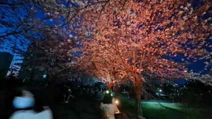  양산호수고뭔