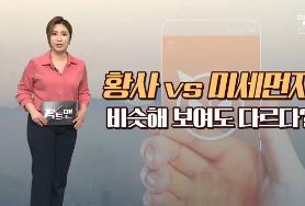  ‘황사와 미세먼지’ 차이는?…발생원인·성분, 다르다? | 뉴스A