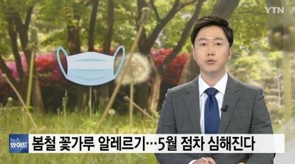  '봄의 불청객' 꽃가루 알레르기 5월 급증 / YTN