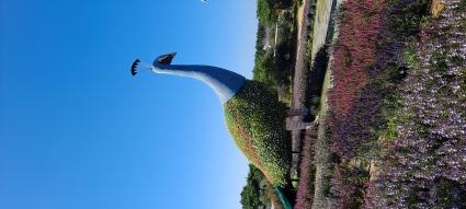  멋지게 촬영한 사진 보내주셔서 고맙고 감사합니다.