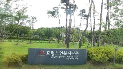  노년의 삶을 디자인한다-'너 늙어봤냐 나는 젊어봤단다'_(서유석)- Photo by 효령노인복지타운*Cover영상*