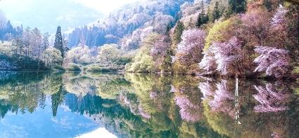 세량지(전남화순)
