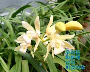  Spring has come