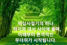  여름의 문턱 小暑