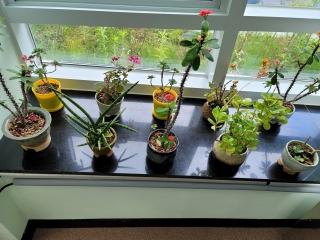  효령타운 식당에서