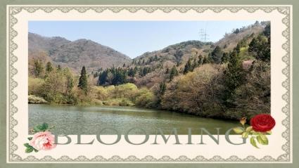  세량지(전남화순)