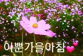  이쁜  가을을 보냅니다