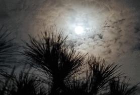  100년만  가장  둥근 보름달